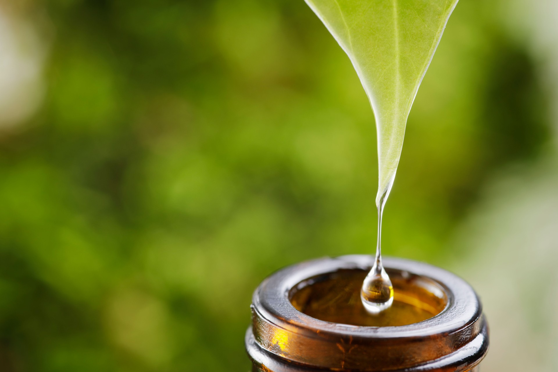 Brown herbal extraction bottle with a drop Brown herbal extraction bottle with a drop